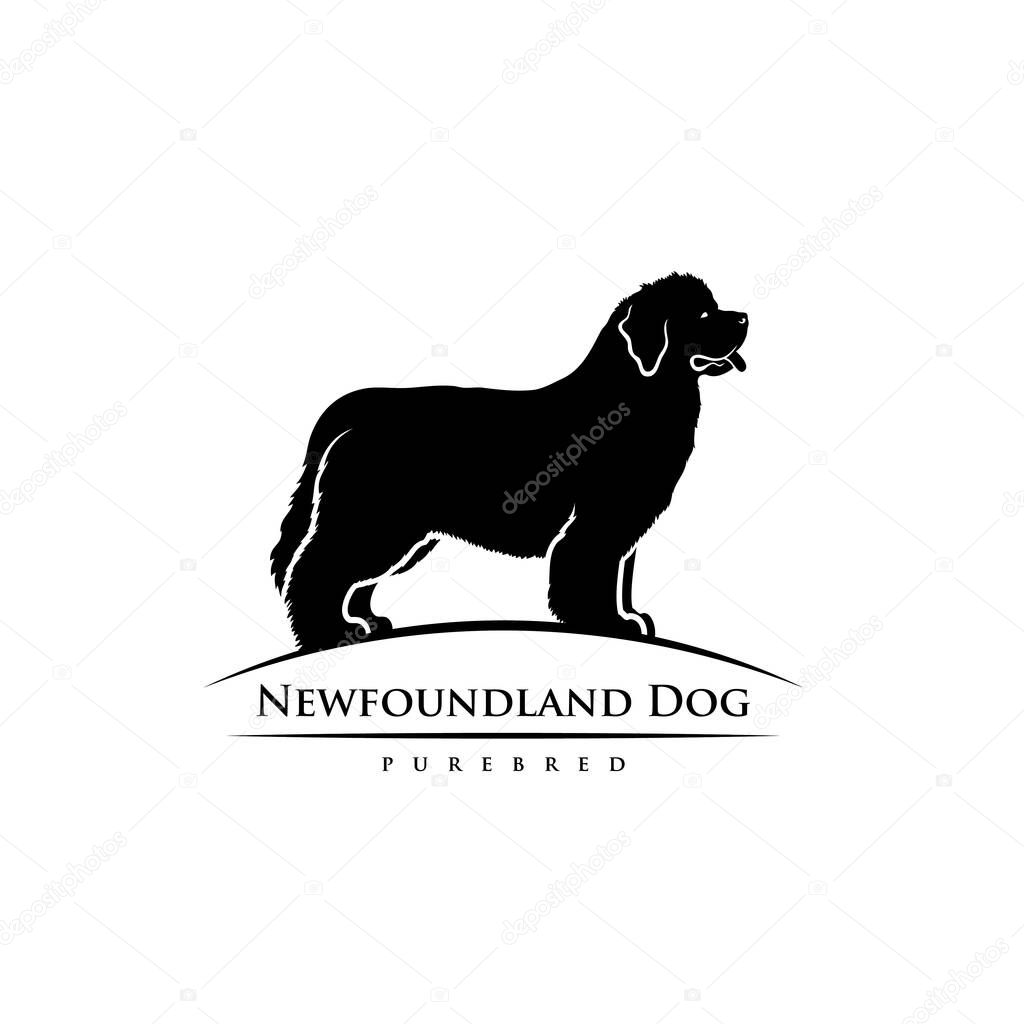 Newfoundland dog, vector illustration isolated on white background