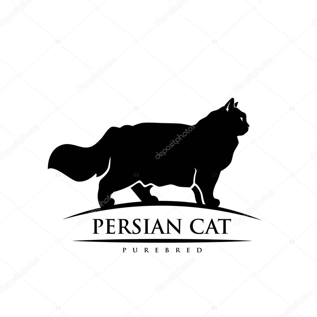 Persian cat, vector illustration isolated on white background