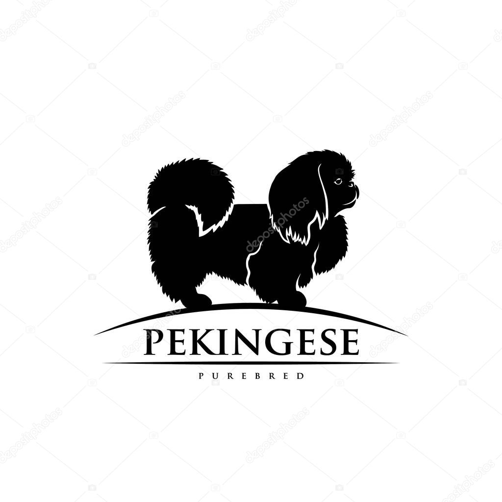 Pekingese dog, vector illustration isolated on white background