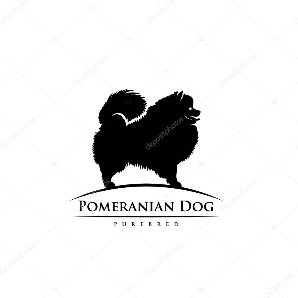 Pomeranian dog, vector illustration isolated on white background