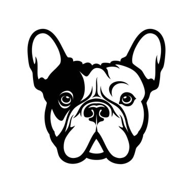 Fransız buldog suratı, izole vektör çizimi
