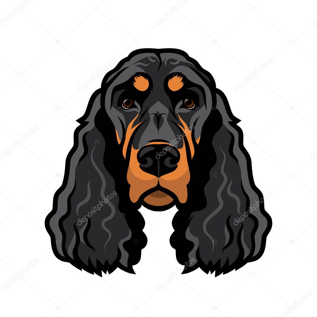 Gordon setter dog breed, isolated vector illustration