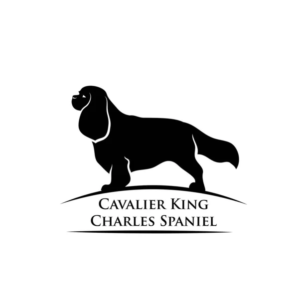 Cavalier King Charles Spaniel Dog Isolated Vector Illustration — Stock Vector
