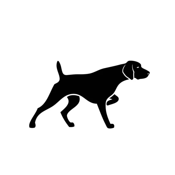 German Shorthaired Pointer Isolated Vector Illustration — Stock Vector