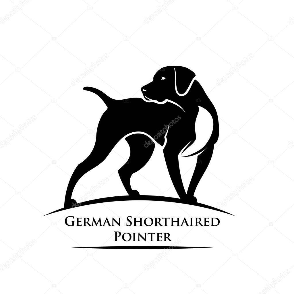 German shorthaired pointer, isolated vector illustration