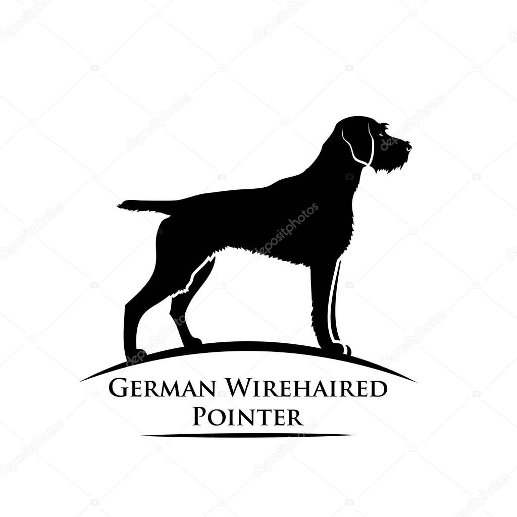 German wirehaired pointer, dog breed, isolated vector illustration