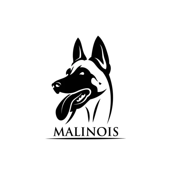 Malinois Cane Silhouette Sfondo Bianco — Vettoriale Stock