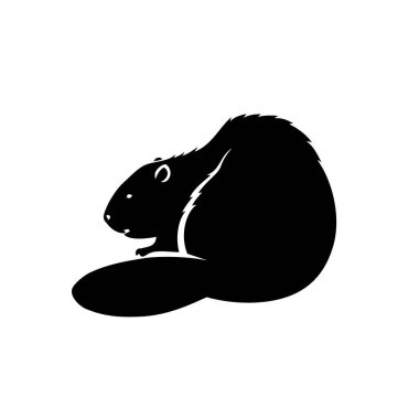 siyah kunduz vektör illüstrasyonu