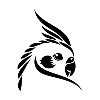 Papağan vektör çizimi 