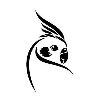 Papağan vektör çizimi 