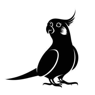 Papağan vektör çizimi 