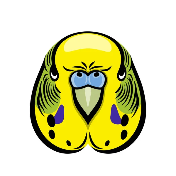 Budgie Parrot Vector Illustration — Stock Vector