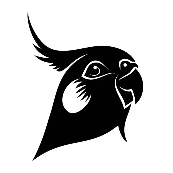Cockatiel Parrot Vector Illustration — Stock Vector