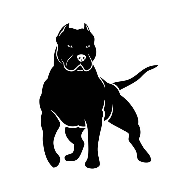 Lindo Perro Raza Mascotas Vector Diseño Ilustración — Archivo Imágenes Vectoriales