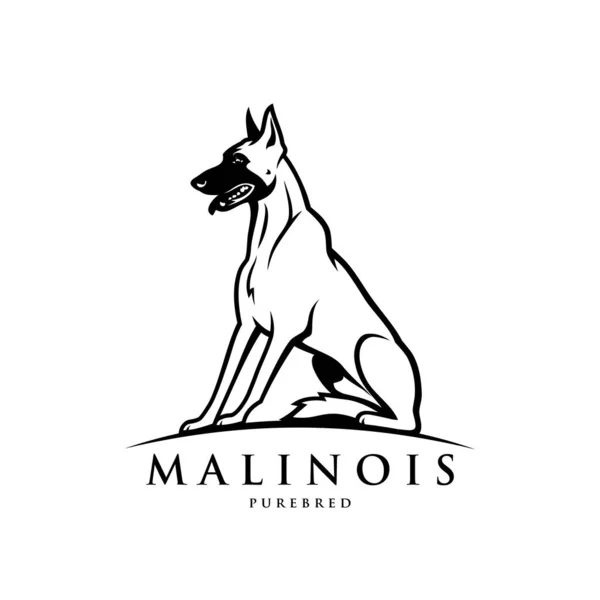 Malinois Σκυλί Διανυσματική Απεικόνιση Σχεδιασμό — Διανυσματικό Αρχείο