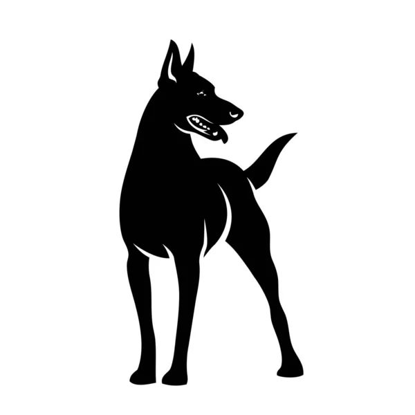 Söt Hund Sällskapsdjur Ras Vektor Illustration Design — Stock vektor