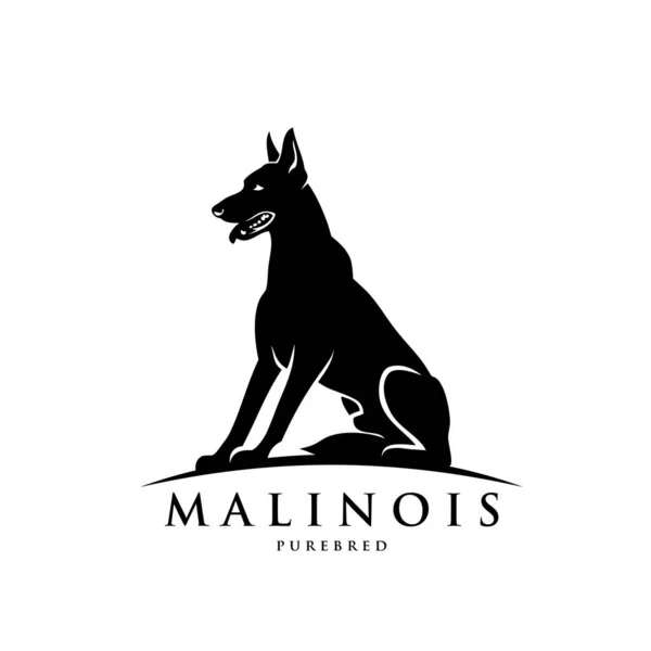 Malinois Pes Vektor Ilustrační Design — Stockový vektor