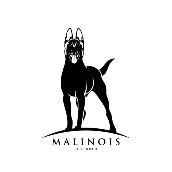 Malinois Köpek Vektör Illüstrasyon Tasarımı Stok Illüstrasyon