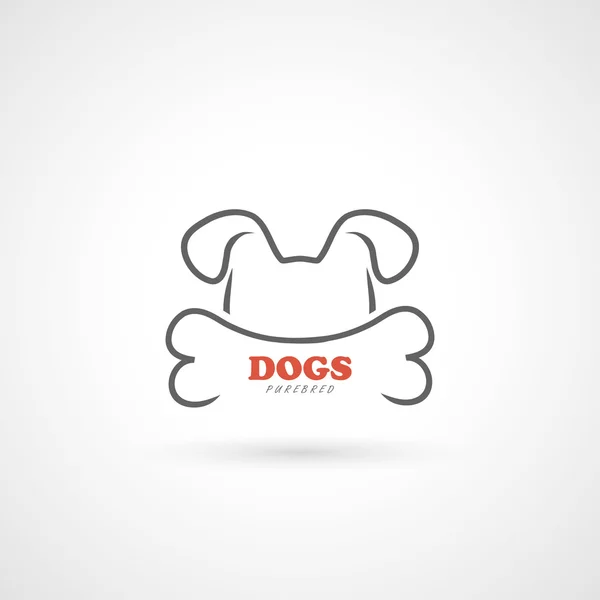 kızgın köpek ve kemik