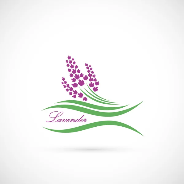 Etiqueta lavanda — Vector de stock