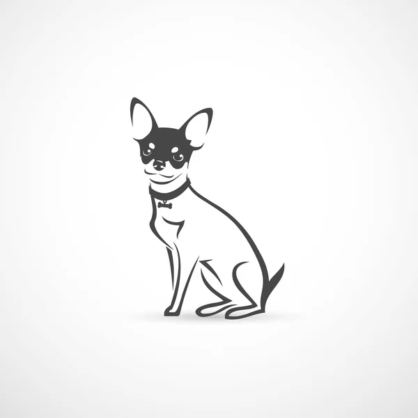 Chihuahua chien — Image vectorielle