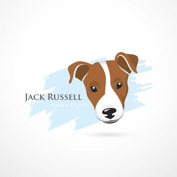 Jack Russell Terrier vagyok. — Stock Vector
