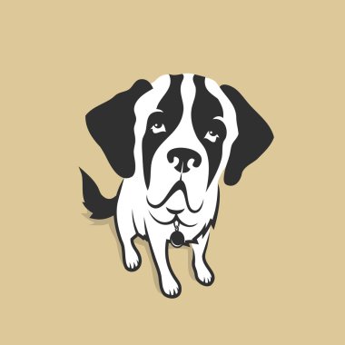 St. bernard köpeği