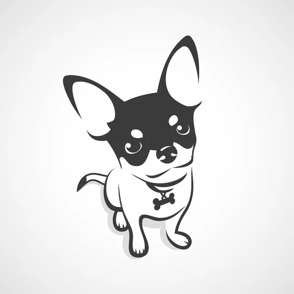 Pies Chihuahua — Wektor stockowy