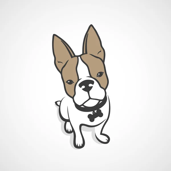 Franse bulldog — Stockvector