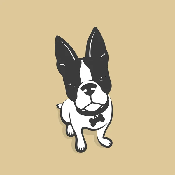 Bulldog francés — Archivo Imágenes Vectoriales