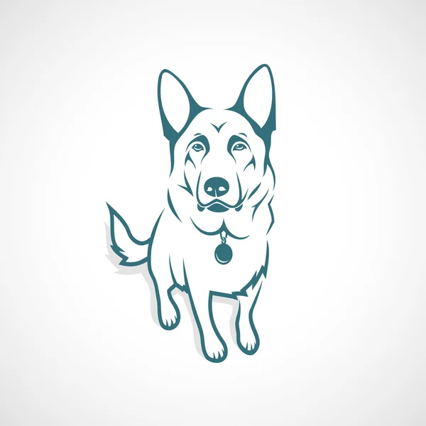 Tysk herdehund — Stock vektor
