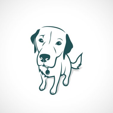 Komik labrador köpek