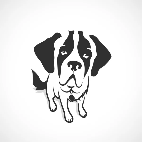 Divertido perro de San Bernardo — Vector de stock