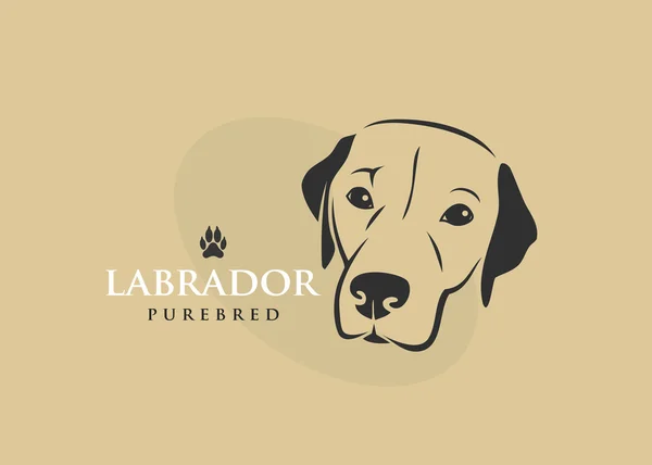 Divertido perro Labrador — Vector de stock