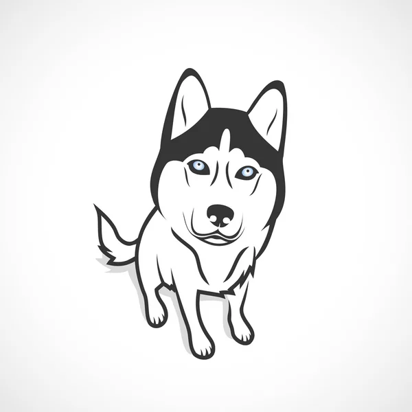 Divertido perro Husky — Vector de stock