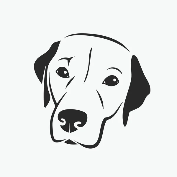 Porträtt av labrador retriever — Stock vektor