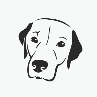 labrador retriever portresi