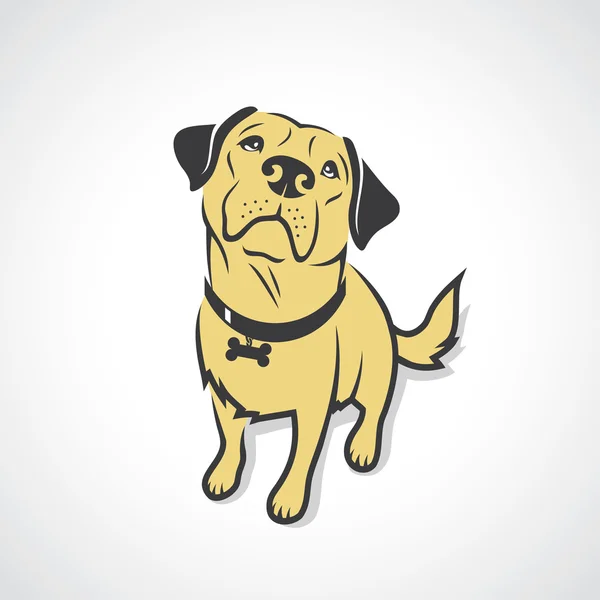 Labrador retriever — Vector de stock