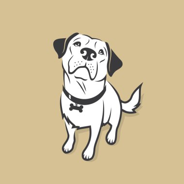 Labrador geri almak