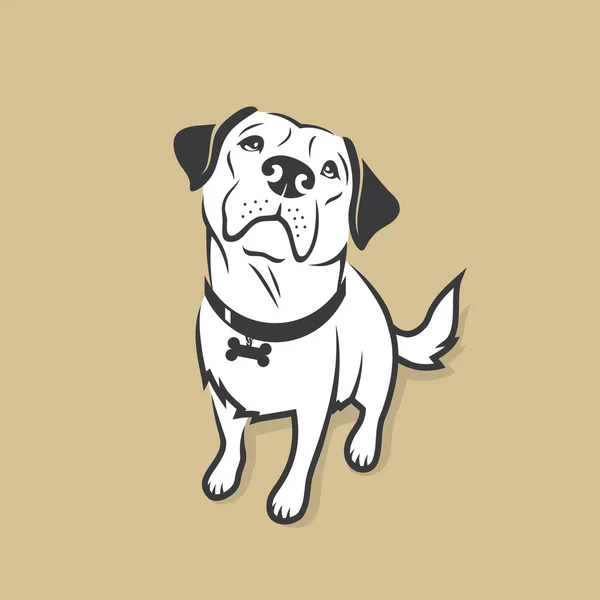 Labrador retriever — Vector de stock