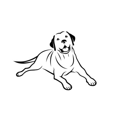 Labrador retriever işareti