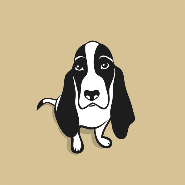 Lindo perro basset hound — Vector de stock