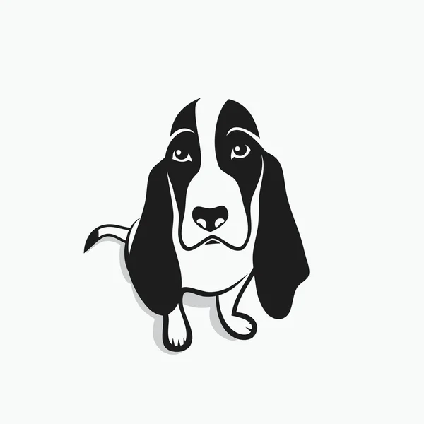 Cute Basset hound dog — Stock Vector