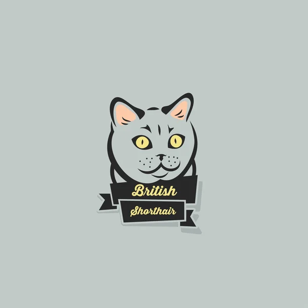 Británico taquigrafía gato — Vector de stock