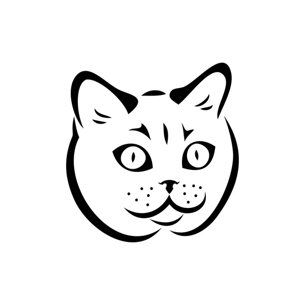 British shorthair cat — Stock Vector