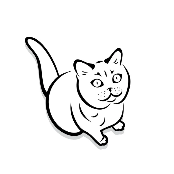 Británico taquigrafía gato — Vector de stock