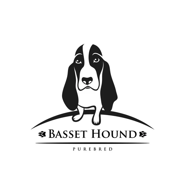 Basset Hound perro — Archivo Imágenes Vectoriales