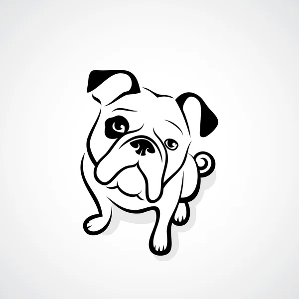 Bulldog geïsoleerd op wit — Stockvector