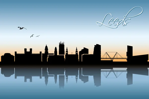 Leeds skyline ilustración — Vector de stock