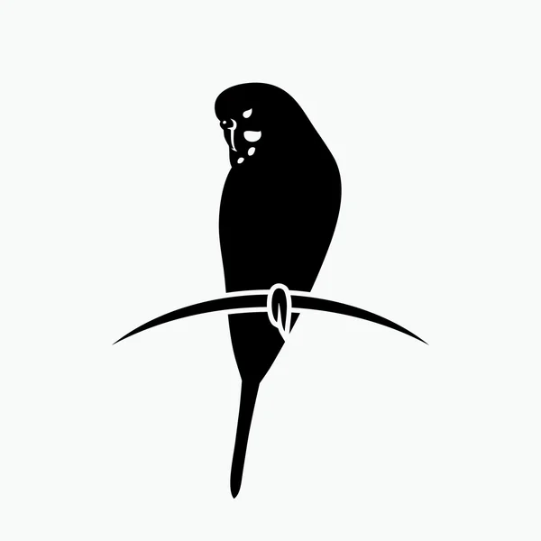 Grasparkiet papegaai illustratie — Stockvector
